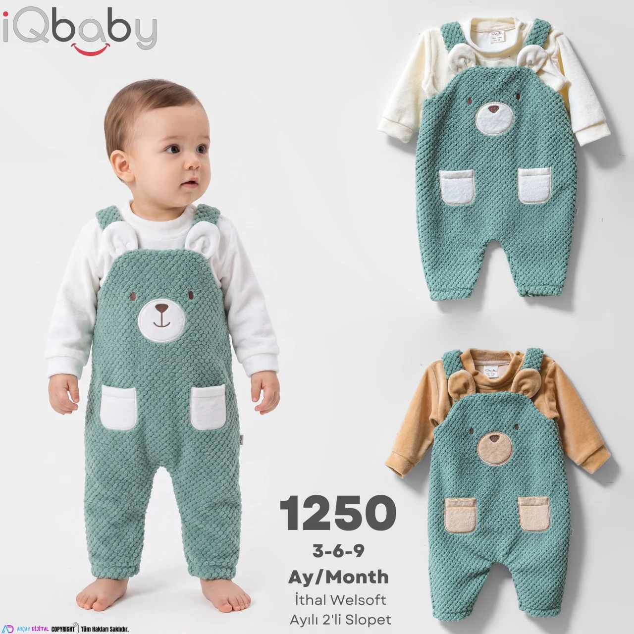 iqbaby model 1250